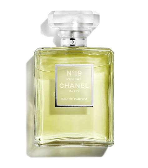 chanel n9 perfume|perfume chanel n 19 poudre.